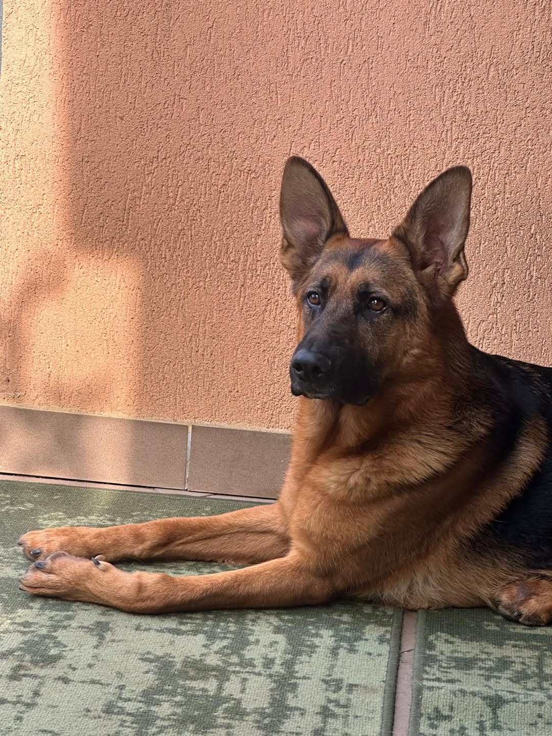 Deputatul Andrei Baciu își petrece duminica relaxându-se: „Voi cum vă petreceți duminica?”