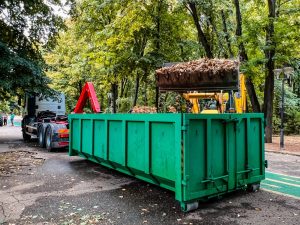 Primarul Stelian Bujduveanu anunță începerea operațiunii de curățenie în Parcul Herăstrău