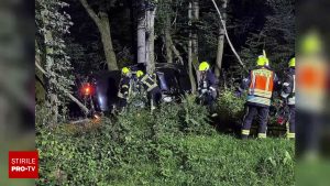 Următoarea variantă a textului dvs., reprezentând titlul unui articol de pe un site de știri, utilizează sinonime pentru a reda aceeași informație: 

“Apel telefonic inexplicabil de la un cetățean român decedat în Germania către Serviciul Național de Urgență. Imaginile de la locul tragediei au avut un impact puternic asupra echipajului de intervenție.”