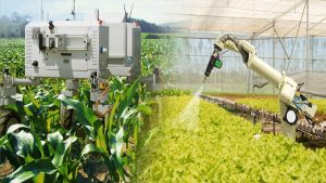 Recolte de grâu cu 20% mai mare datorită inteligenței artificiale