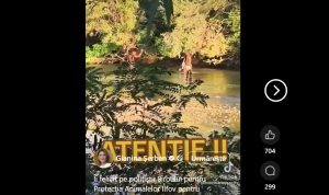 George Simion publică un video cu cetățeni pakistanezi surprinși în timp ce prind două lebede pe râul Argeș: „Este oportună expulzarea acestor persoane?”ea noastră”