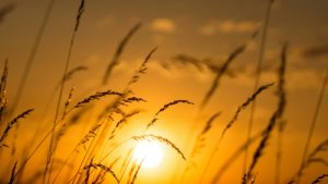 Horoscop 22 august