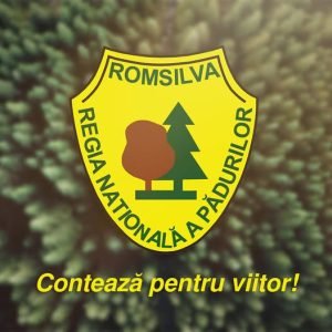 Jean Vişan, numit director temporar al Romsilva