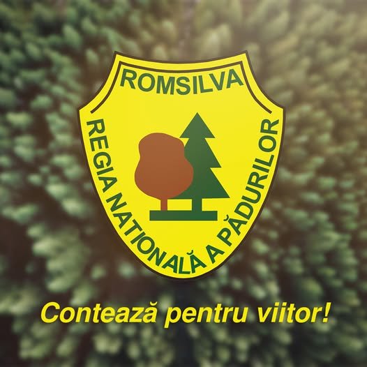 Jean Vişan, numit director temporar al Romsilva