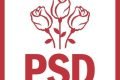 Luni, PSD se reuneste pentru a se poziționa referitor la