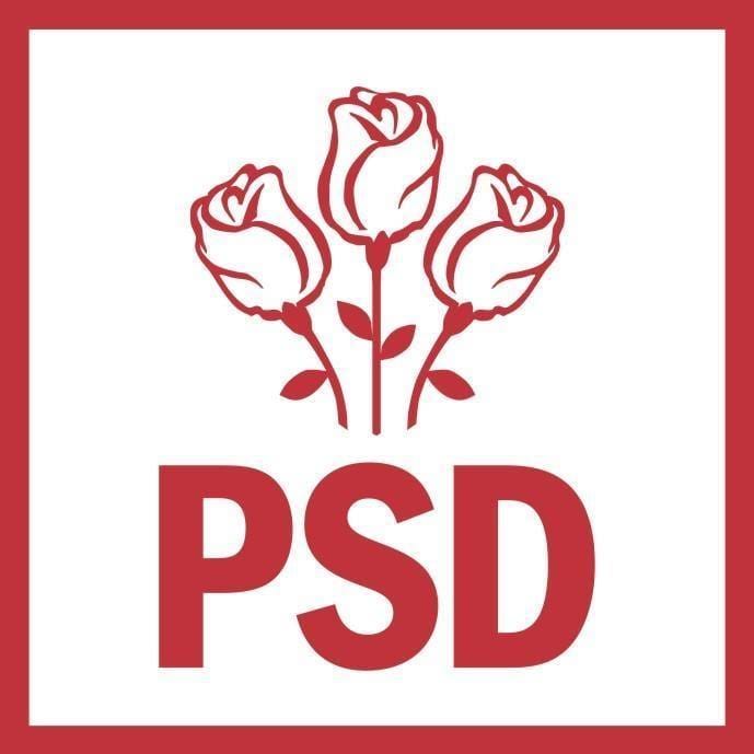 Luni, PSD se reuneste pentru a se poziționa referitor la
