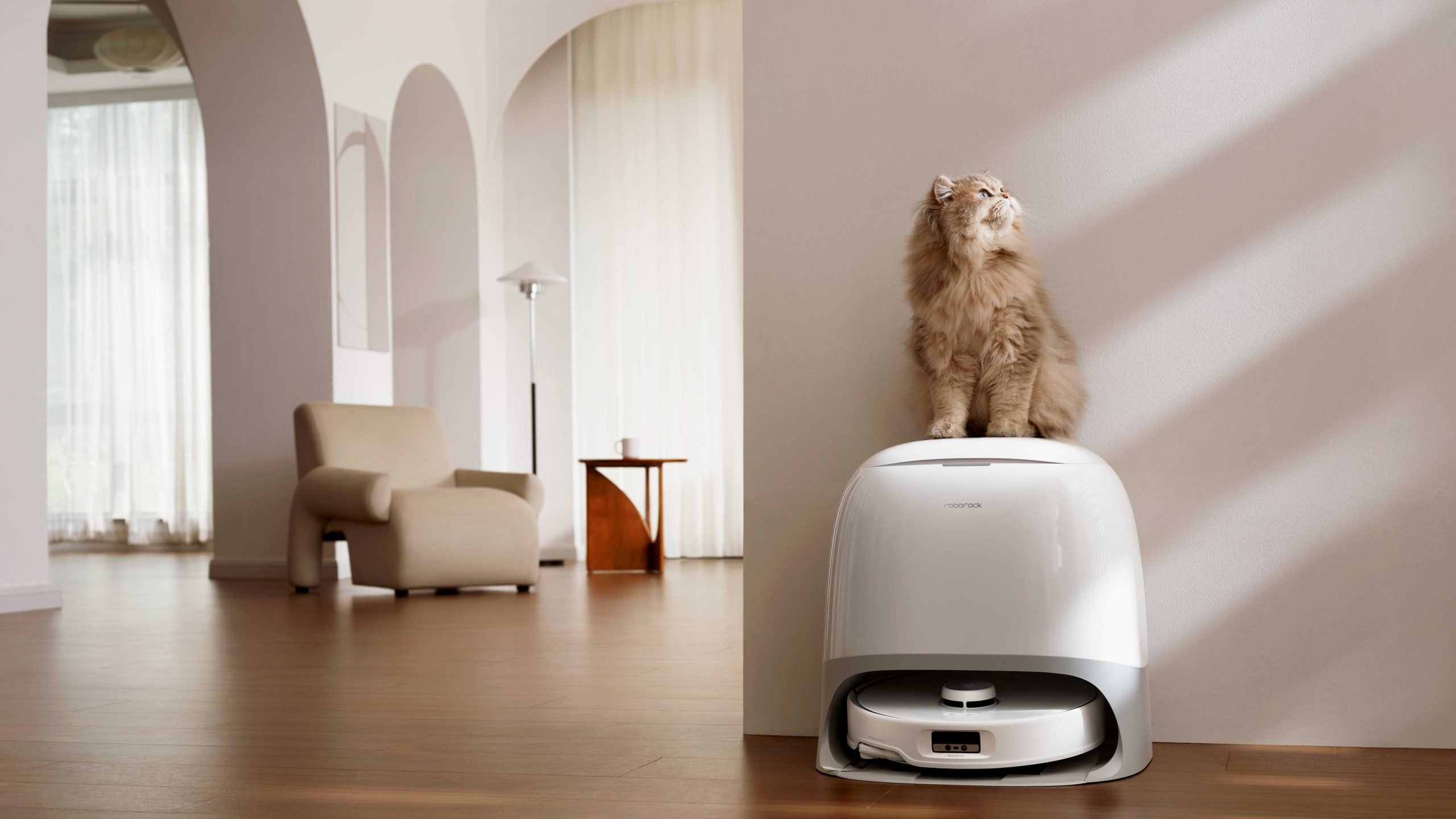 [ad_1] Roborock sărbătorește 11 ani de când a intrat pe piață cu misiunea de a revoluționa curățenia casnică prin implementarea tehnologiilor avansate pentru aspiratoarele robot