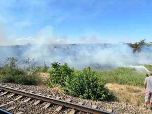 Imagine: Incendiu de vegetație care întrerupe traficul feroviar după stația CFR Medgidia – martor ocular