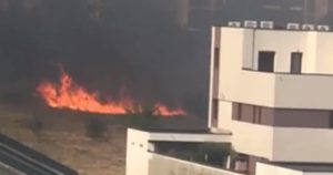Incendiu puternic de vegetație în Chiajna, fum dens, RO-Alert activat