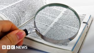 Noi cuvinte adăugate în dicționarul Cambridge
