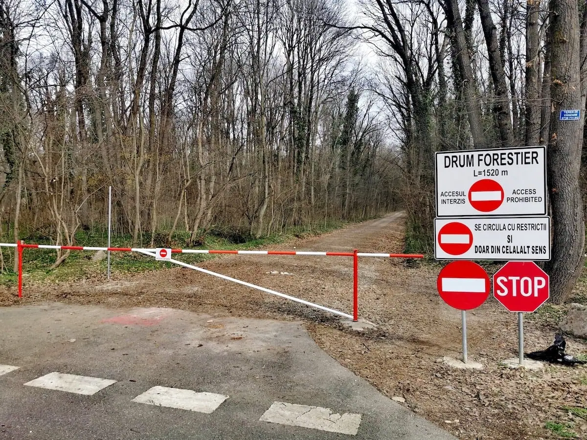 [ad_1] Organizații și grupuri civice solicită urgent oprirea deschiderii drumului forestier din Pădurea Băneasa pentru circulația auto Peste 45 de ONG-uri și grupuri civice au transmis o scrisoare deschisă către Ministerul Mediului, Romsilva și Garda Forestieră, cerând stoparea rapidă a proiectului de deschidere a drumului forestier din Pădurea Băneasa