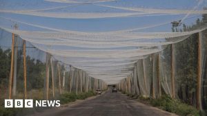 Ucraina: centura de apărare a Donnețkului contează enorm