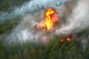 România va trimite în Spania o echipă de 51 de pompieri specializați în stinsul incendiilor forestiere, pe fondul afectării a sute de mii de hectare de incendii de pădureea noastră”