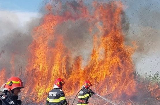 incendiu-vegetatie-tulcea-flacari-pompieri-e1660502428477.jpeg