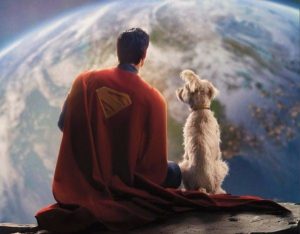 Actorul britanic Terence Stamp, celebru pentru interpretarea personajului negativ din Superman, a decedat la vârsta de 87 de aniea noastră”