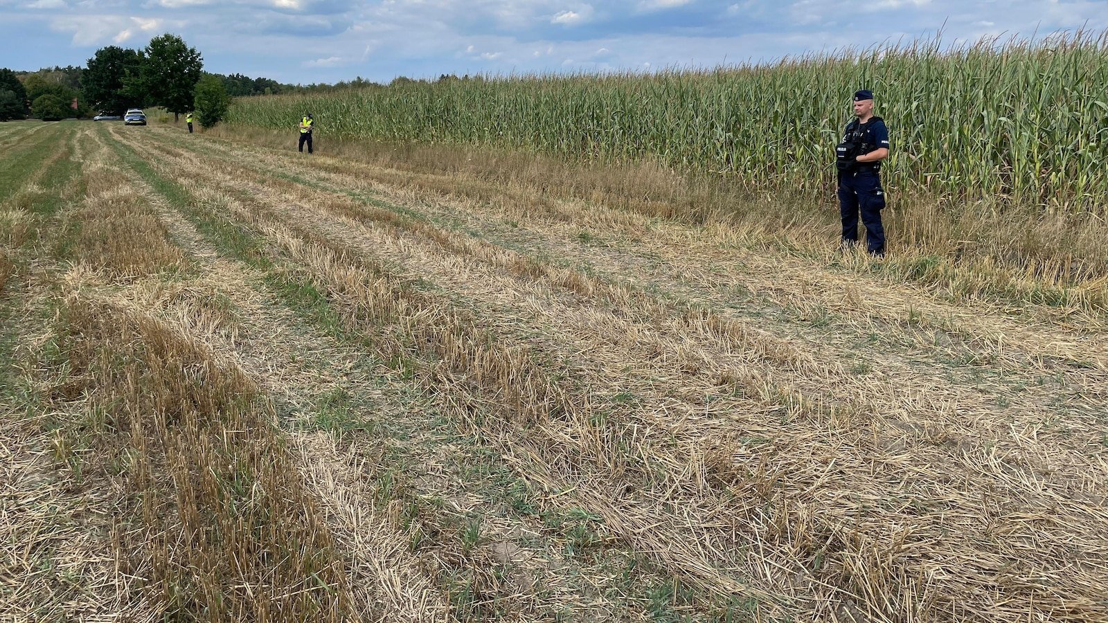 Polonia consideră prăbușirea unui dronă în estul țării o provocare rusească în mijlocul negocierilor de pace.