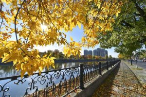 Vremea se răcește puternic în toată țara.