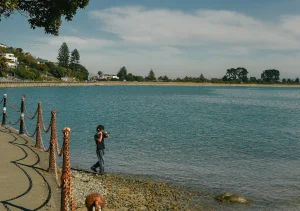 Aeroport, companie aeriană și agenție se alătură pentru a stimula vizitarea în primăvară — Aeroportul Nelson