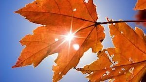 Săptămână liniștită și fără evenimente meteorologice extreme în regiunea din jurul Miamului.