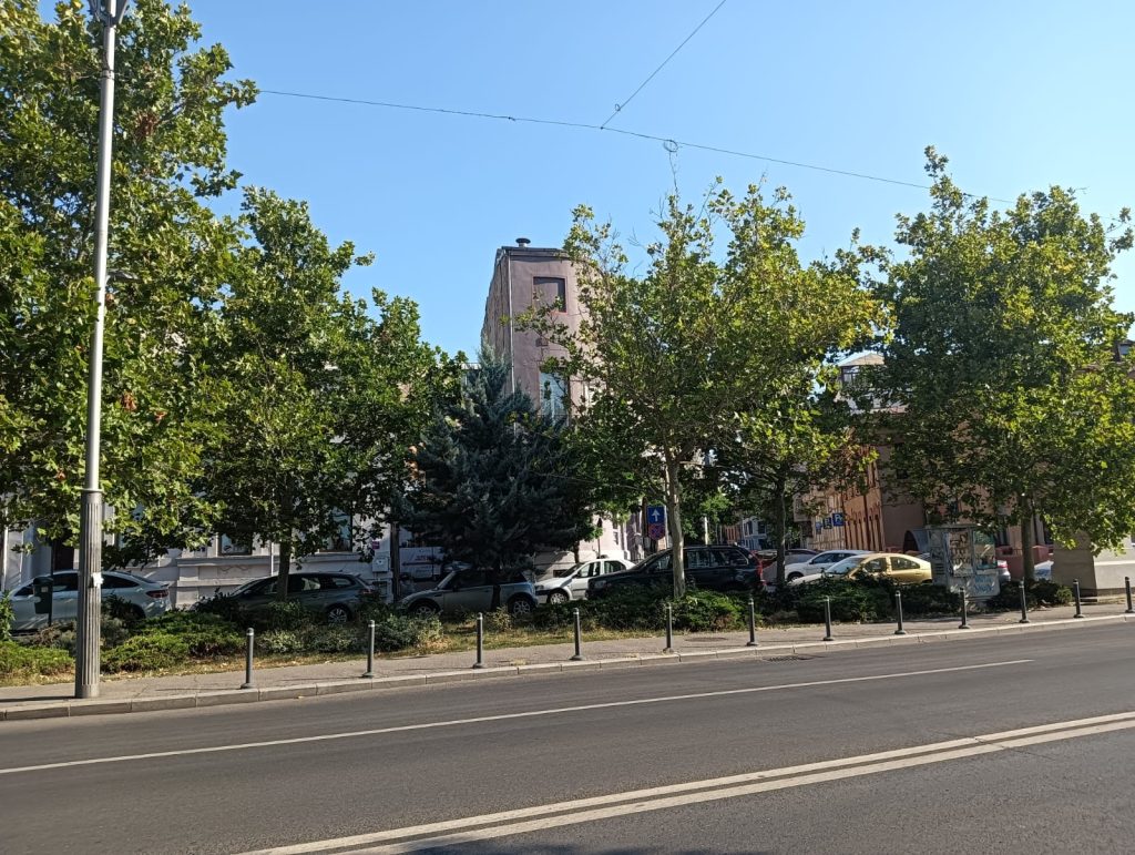 Sector 1 | Mai multe zone pot fiselected pentru îngrijire de către cetățeni prin inițiativa „Adoptă un loc verde”