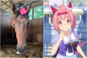 Haru Urara, calul de curse inovator, moare la 29 de ani