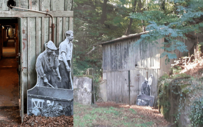 Buncar-Resita-site-850×479-1.png