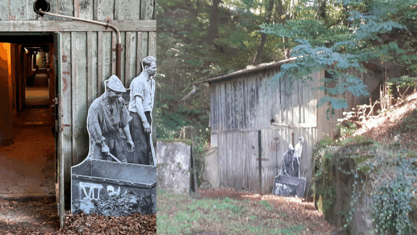 Buncar-Resita-site-850×479-1.png