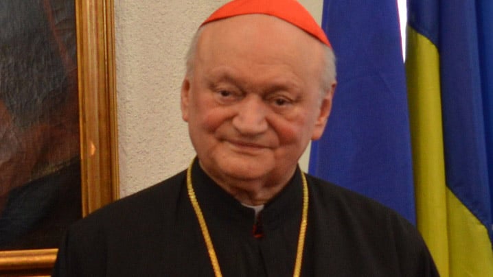 Cardinalul-Lucian-Muresan.jpg