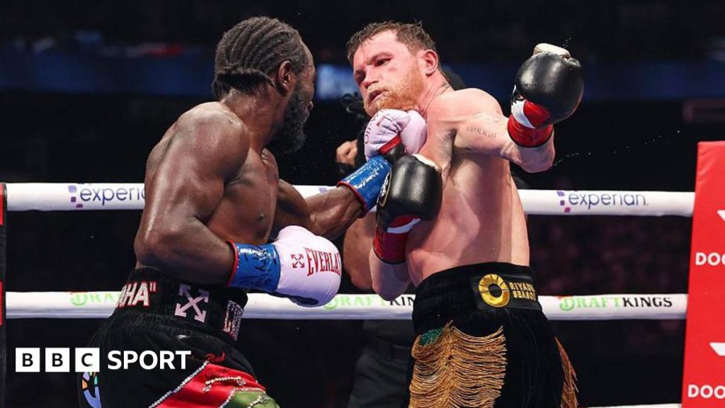 Terence Crawford lands a jab at Saul 'Canelo' Alvarez