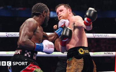 Terence Crawford lands a jab at Saul 'Canelo' Alvarez