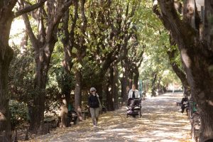 Prognoza meteo: săptămână rece cu ploi, vânt și zăpadă la altitudini înalte, temperaturile maxime nu vor depăși 22°C