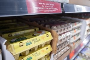 Domini Fritz: Limitarea prețurilor trebuie să fie temporară și complementată de alte strategii pentru gestionarea impactului social