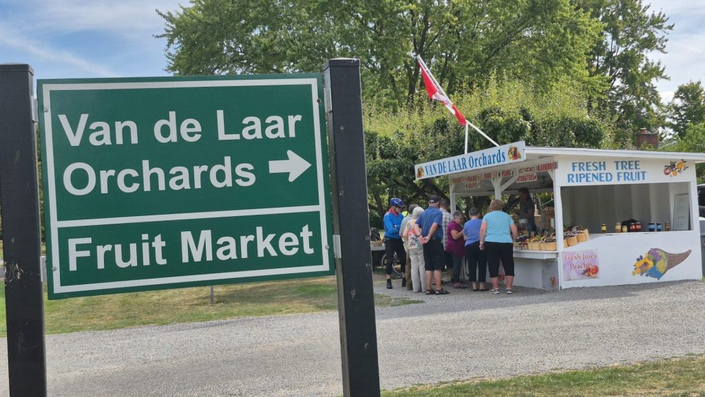 Reportaj vizual: Niagara și filozofia inovatoare a agriculturii familiale – crame de familie, mese tradiționale la fermă și evenimente culturale; impactul cramelor boutique asupra dezvoltării economice și turistice a comunității