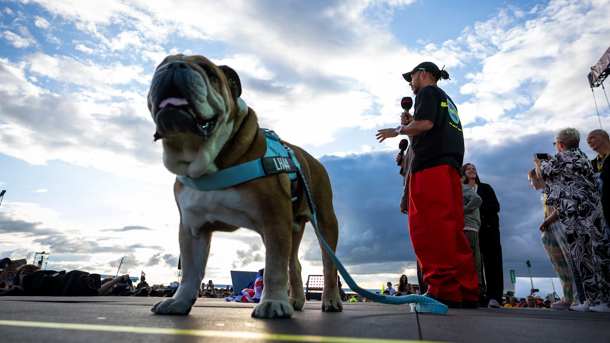 Campionul mondial de Formula 1, Lewis Hamilton, anunta pierderea câinelui său drag, Roscoe, după o luptă îndelungată cu problemele de sănătate.