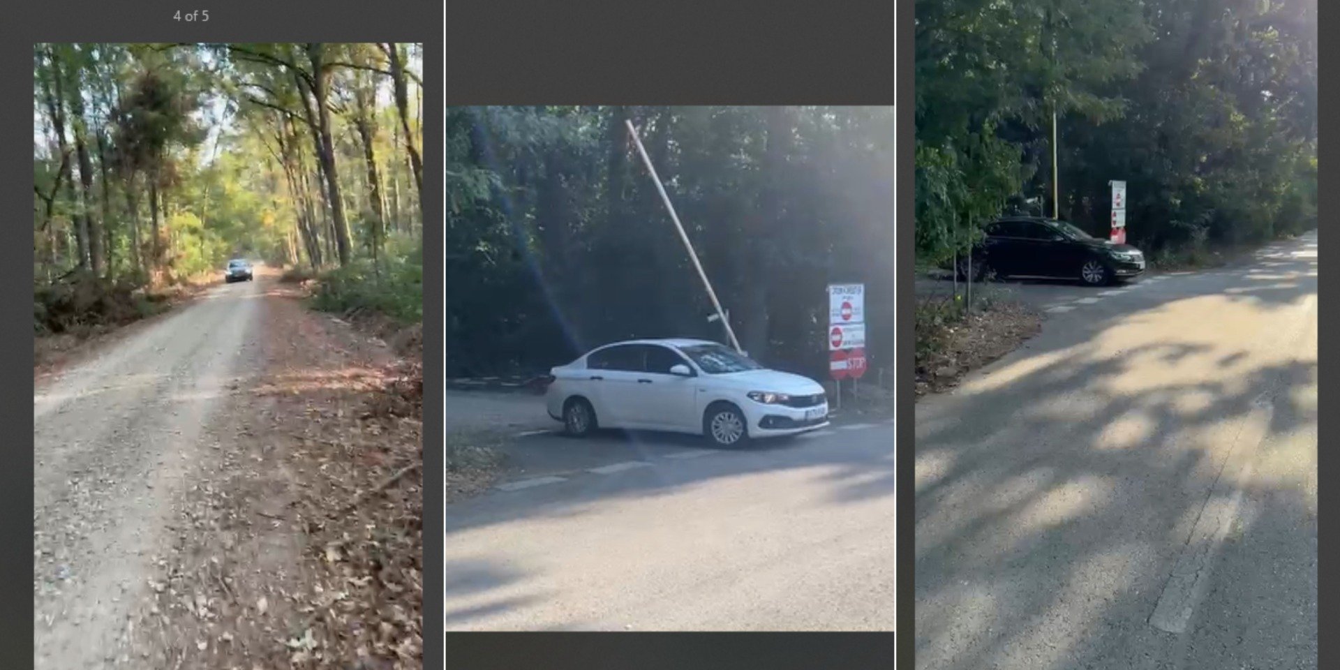 [ad_1] Federația Greenfield a anunțat recent deschiderea traficului auto pe drumul forestier „Padina” din Pădurea Băneasa, invocând contractul semnat cu Romsilva