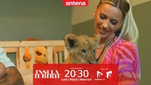 Insula Iubirii Sezonul 9, 2 septembrie 2025. Ce s-a întâmplat la Dream Date între Ella Vișan și Teo