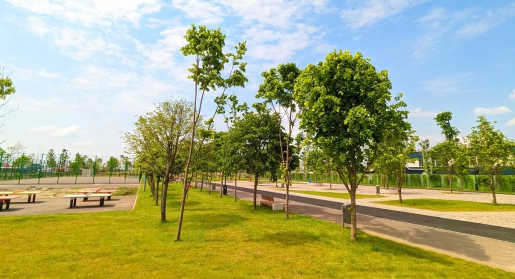 [ad_1] Lucrări de extindere în parcarea Tudor Arghezi din Sectorul 4, totul despre noua zonă de relaxare și recreere Se pornește la extinderea parcului Tudor Arghezi, situat în Sectorul 4, București, cu o nouă suprafață de patru hectare