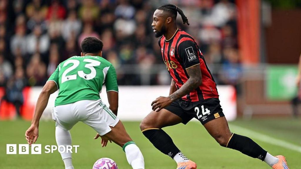 Previziuni Premier League: Bournemouth – Newcastle