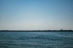 România are nevoie să demonstreze că deține motivele necesare pentru a fi gazda centrului european de securitate din Marea Neagră, conform europarlamentarilor români.