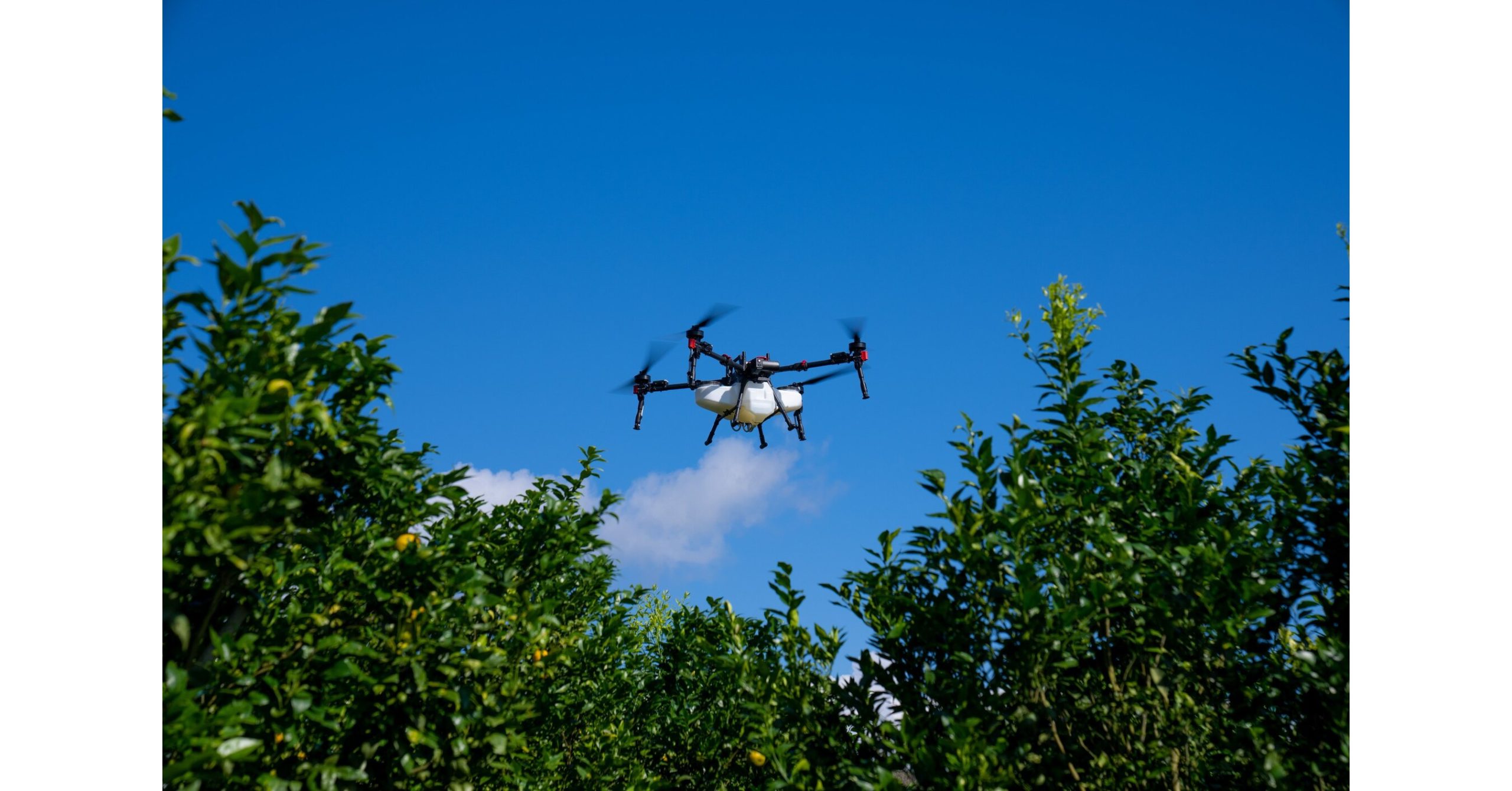 Dronele XAG oferă fermierilor brazilieni un avantaj în fața vremii imprevizibile.

Sau, dacă preferi o variantă puțin diferită:

 Tehnologia XAG de drone ajută fermierii din Brazilia să facă față condițiilor meteo nefavorabile.

Sau:

Fermierii brazilieni se bazează pe dronele XAG pentru a depăși provocările aduse de vremea instabilă.

Aceste reformulări păstrează sensul original al titlului, dar oferă variante cu sinonime și expresii diferite.