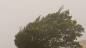 Vremea se strică: răcire bruscă și cod galben de vijelii până vineri