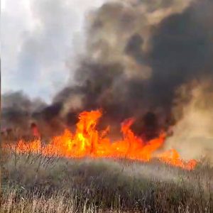 Incendiu devastator de vegetație, care a cuprins 11 case din Giurgiu, fiind alimentat de vânt și materiale inflamabile, provocând deteriorări semnificative la trei locuințeea noastră”