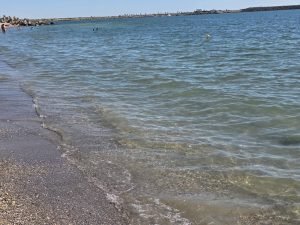 Tratatul pentru Marea Liberă va deveni operațional după ratificarea de către 60 de națiuni