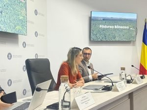 Ministra Mediului afirmă că acordul cu Federația Greenfield poate fi anulat și solicită oprirea traficului zilnic de mii de mașini pe drumul forestier din Pădurea Băneasa