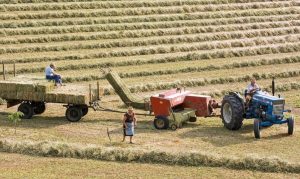 Fermierii din Grecia au primit peste 22 de milioane de euro fraudând fondurile UE, în cadrul unei anchete desfășurate de Parchetul European sub conducerea Laurei Codruța Kovesiea noastră”