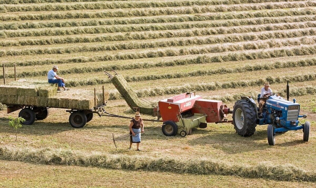 agricultura-ferma-fermier-e1705308982618.jpeg