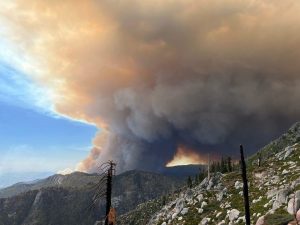 Flăcări uriașe de vegetație pun în pericol pădurea milenară de sequoia gigant din California, în vârstă de peste două milenii / Incendiul Garnet continuă să ardă în Pădurea Națională Sierra de două săptămâniea noastră”