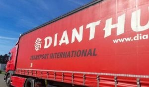 Vise ciudate în noaptea trecută