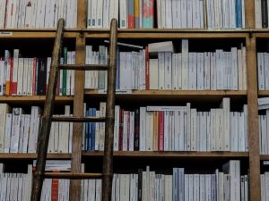 Anthropic achită 1,5 miliarde de dolari pentru soluționarea unui proces legat de drepturile de autor, impunând o taxă de 3000 de dolari pentru fiecare carte accesată ilegalea noastră”
