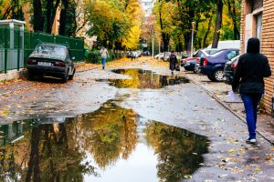 FrigulloveșteRomânia